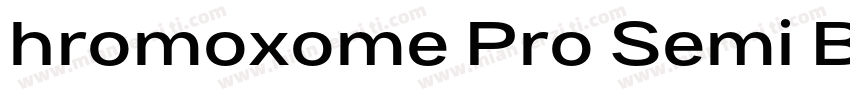 hromoxome Pro Semi Bold Regular字体转换